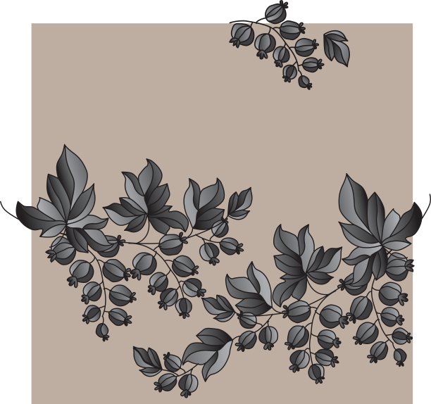 黑加仑子图片下载