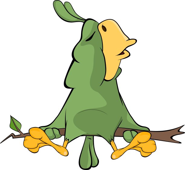 绿鹦鹉卡通图片下载