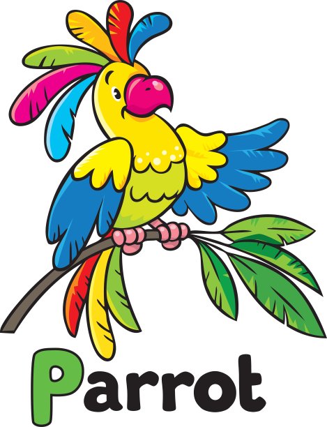 有趣的鹦鹉图片下载