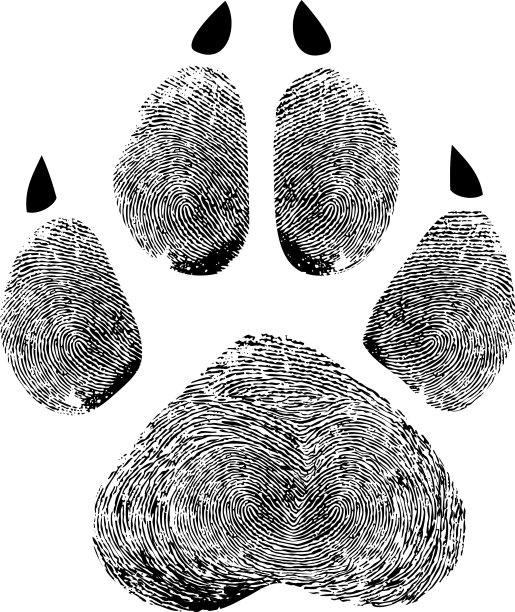 爪印人类指纹图片下载