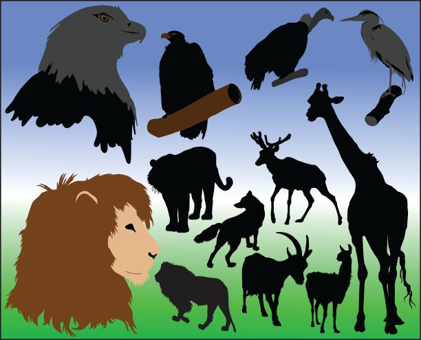 野生动物图片下载