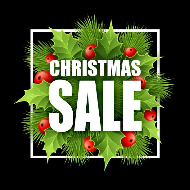 圣诞特卖设计与冬青图片下载
