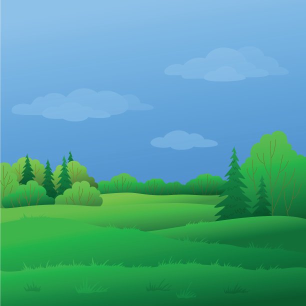 森林景观夏天图片下载