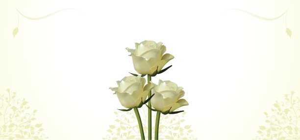 玫瑰和繁茂的背景图片下载