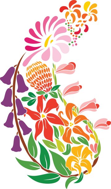 佩斯利花图片下载