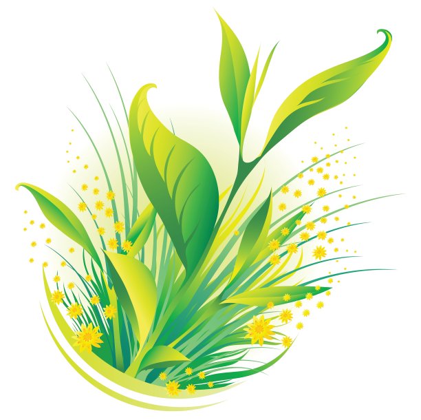 草和花图片下载