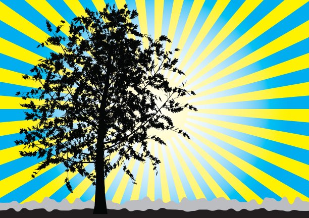 树的轮廓图片下载