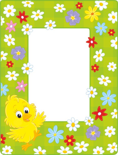 与小鸡接壤图片下载