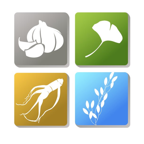 大蒜人参图片下载