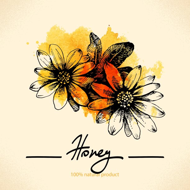 蜂蜜背景与手绘草图图片下载