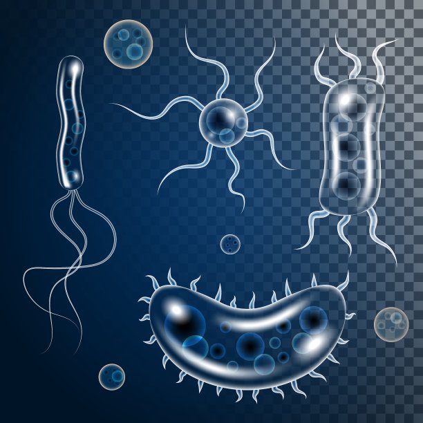 细菌微生物图标组图片下载