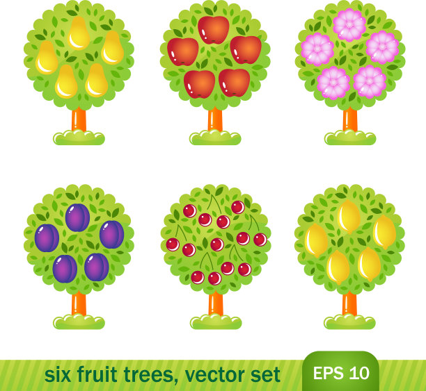 六种果树图片下载