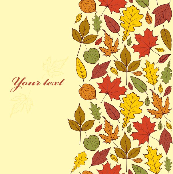 秋天的落叶图片下载