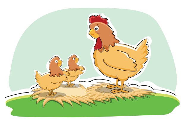 母鸡和小鸡图片下载