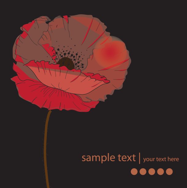 罂粟花图片下载