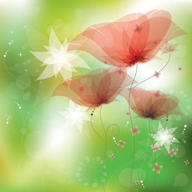 红色罂粟花图片下载