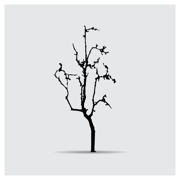 树的轮廓图片下载