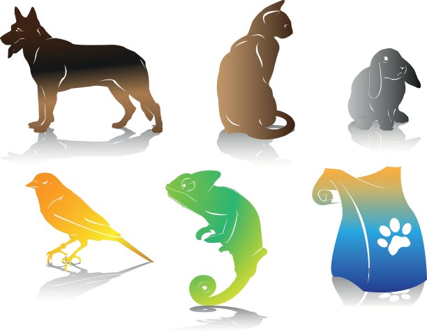 颜色的宠物图片下载