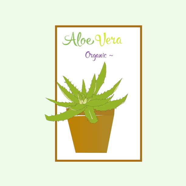 芦荟植物在棕色花盆图片下载