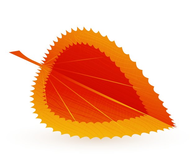 自然的标志图片下载