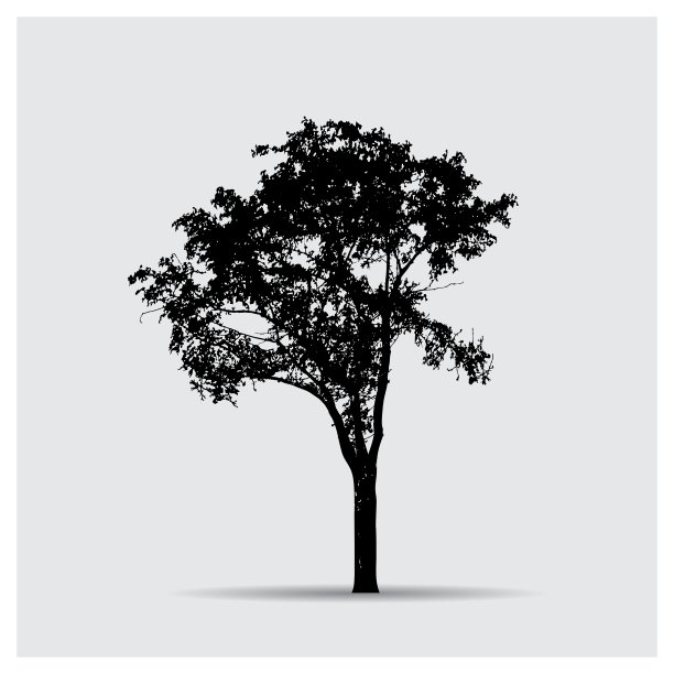树的轮廓图片下载
