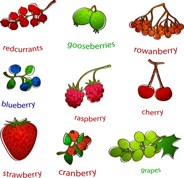 结实的水果图片下载