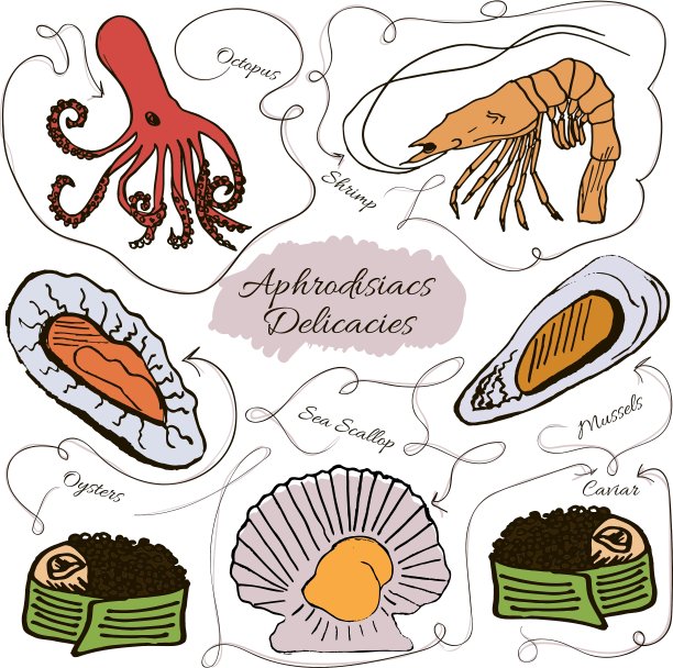 手绘收集海鲜图片下载