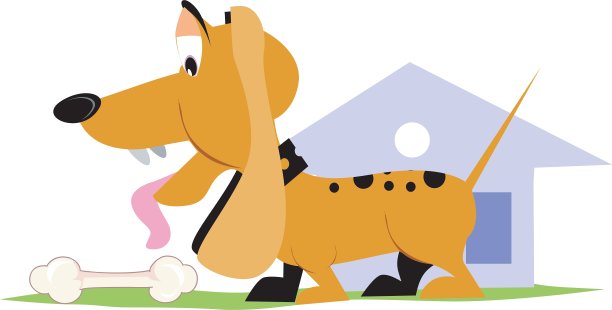 有趣的狗图片下载