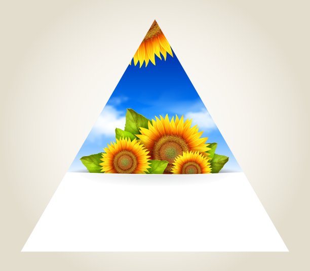 三角形夏季花背景图片下载