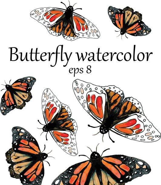 帝王蝶水彩图案图片下载