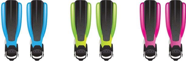 鳍状肢图片下载