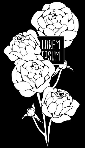 美丽的花卉背景艺术图片下载