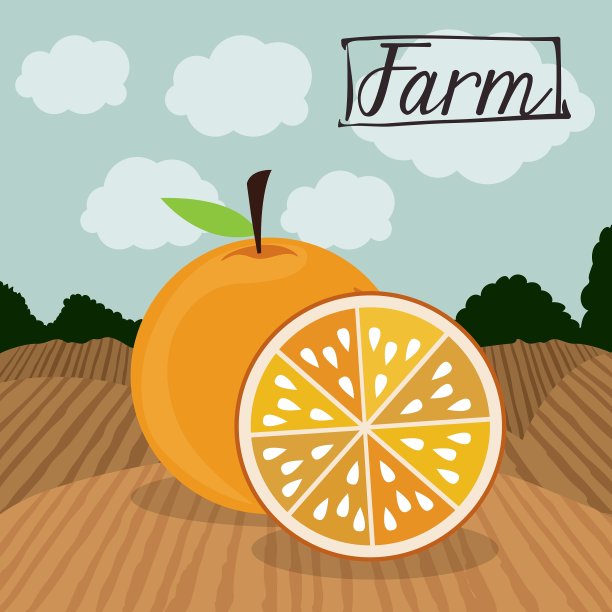 农业食品设计图片下载