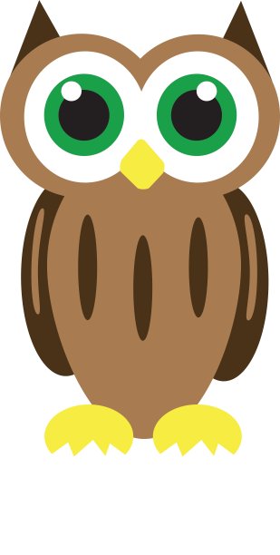 棕色的猫头鹰图片下载