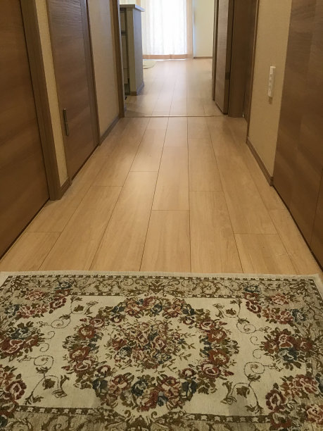 从公寓入口看到的走廊图片下载