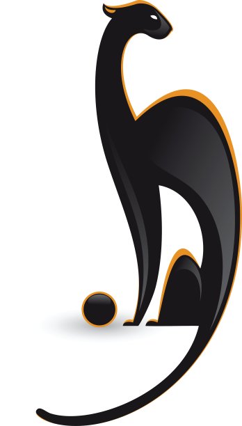 黑豹与球图片下载