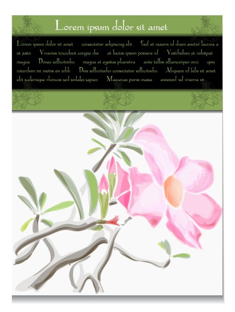 热带花卉卡片图片下载