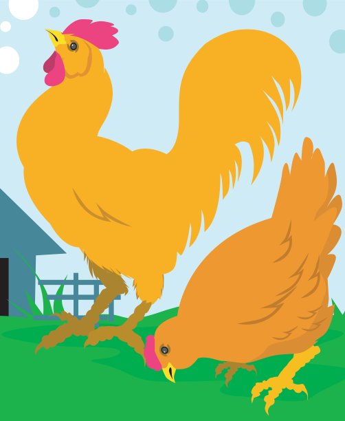 公鸡和母鸡图片下载