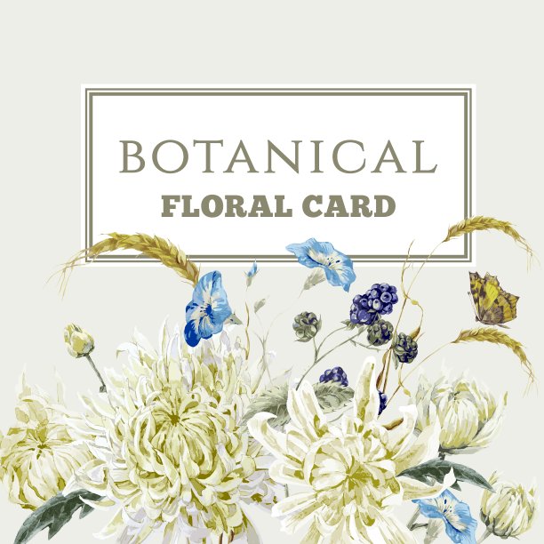 老式鲜花卡片与菊花图片下载