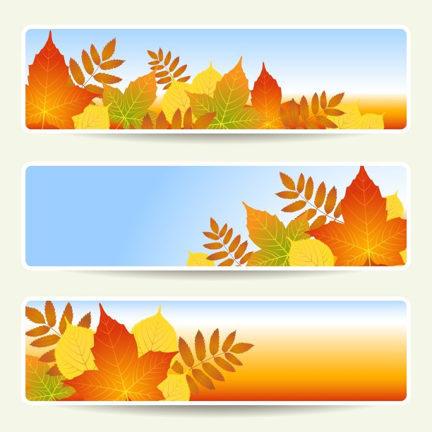 叶子横幅空图片下载