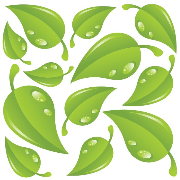 绿色的树叶图片下载