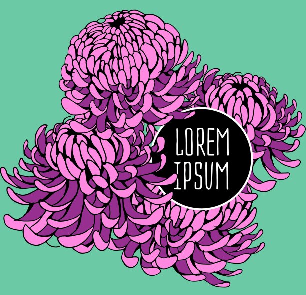 美丽的花卉背景艺术图片下载