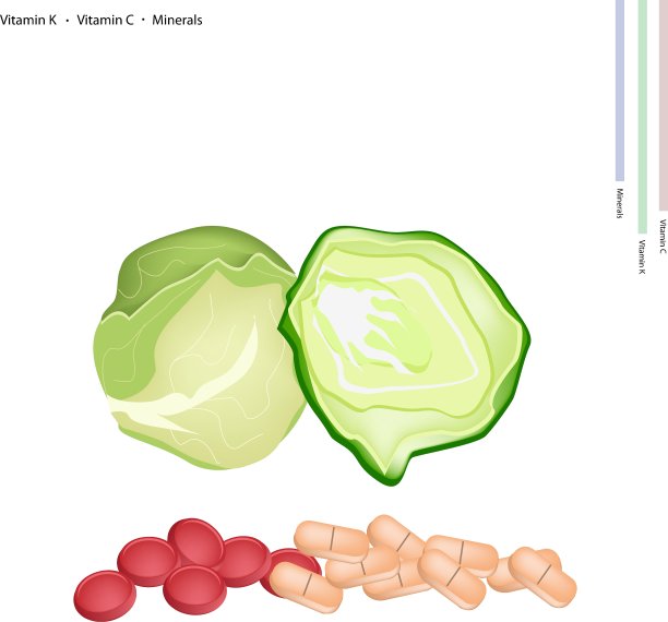 含有维生素K和维生素C的新鲜卷心菜图片下载