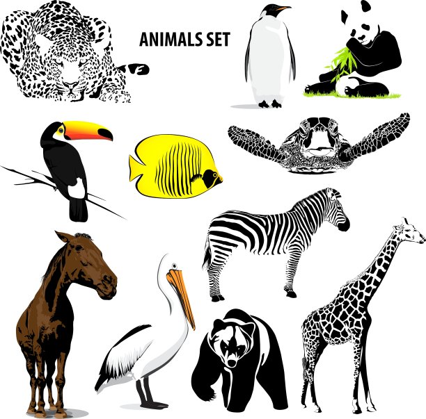 动物组图片下载