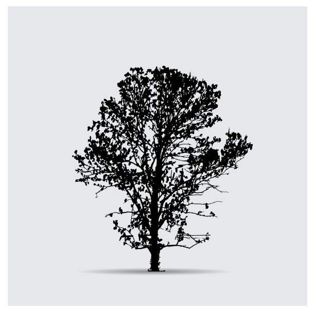 树的轮廓图片下载