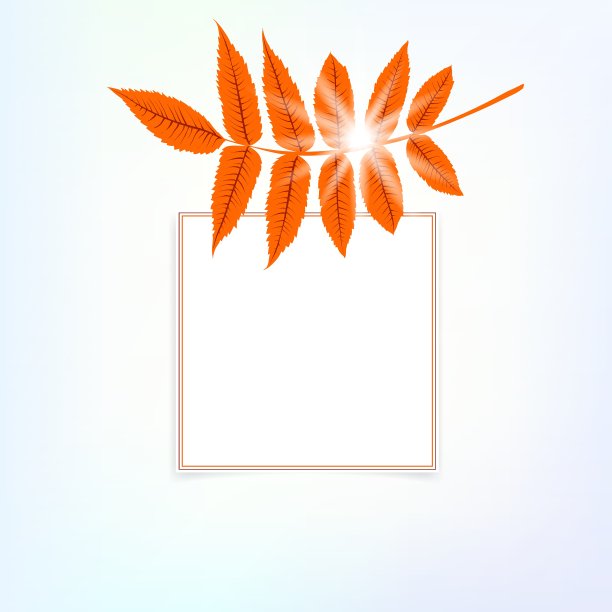 秋季装饰卡片图片下载