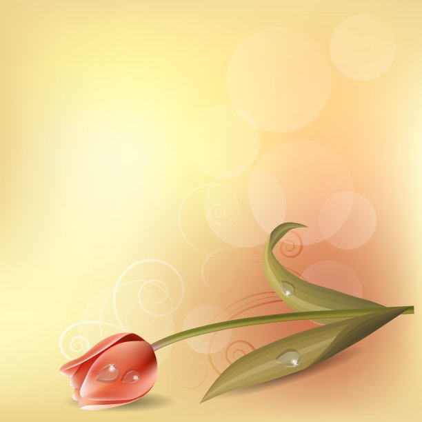 粉彩背景与郁金香图片下载