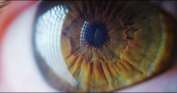 完美的绿色眼睛宏在无菌环境和完美的视觉。图片下载