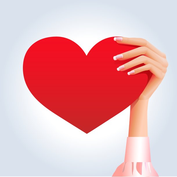 女人的手牵着深红色的心图片下载