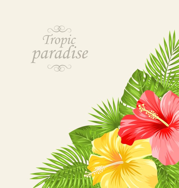 复古贺卡与彩色玫瑰锦葵图片下载